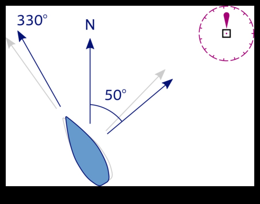 Diagrammas kursi: navigācija ar precizitāti