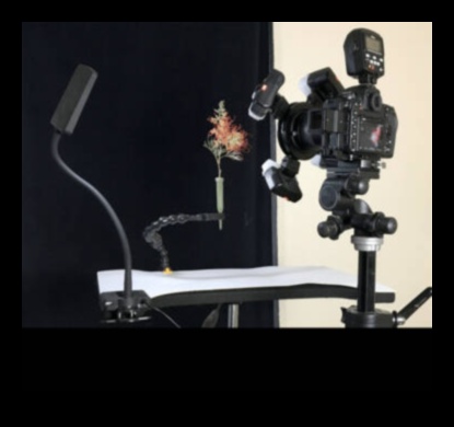 Uzlabots zibspuldzes fokusa apgaismojuma aprīkojums, lai uzlabotu jūsu fotografēšanu 2 Zibspuldzes fokuss: izgaismojiet savus kadrus, izmantojot modernu apgaismojuma aprīkojumu