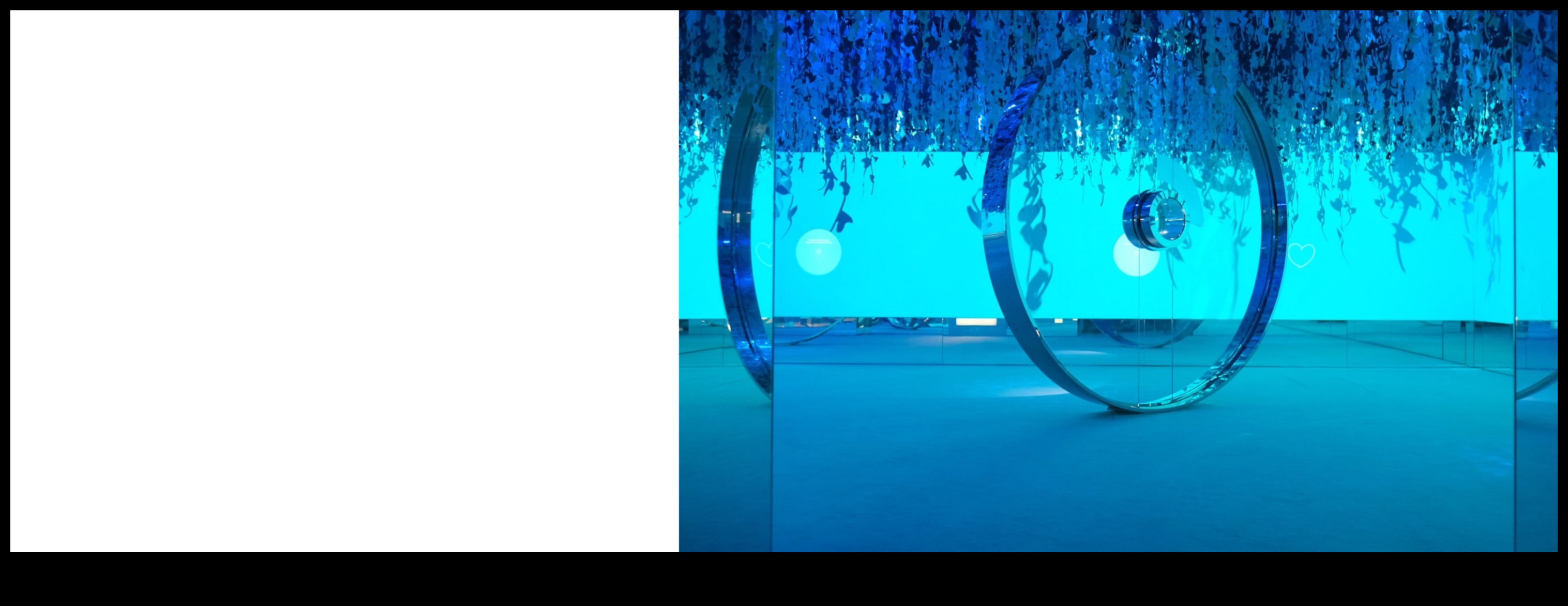 Vizuālā virtuozitāte Māksla uzlabot attēlus līdz pilnībai 3 Vizuālā virtuozitāte: mākslinieciskās izcilības sasniegšana attēla uzlabošanā