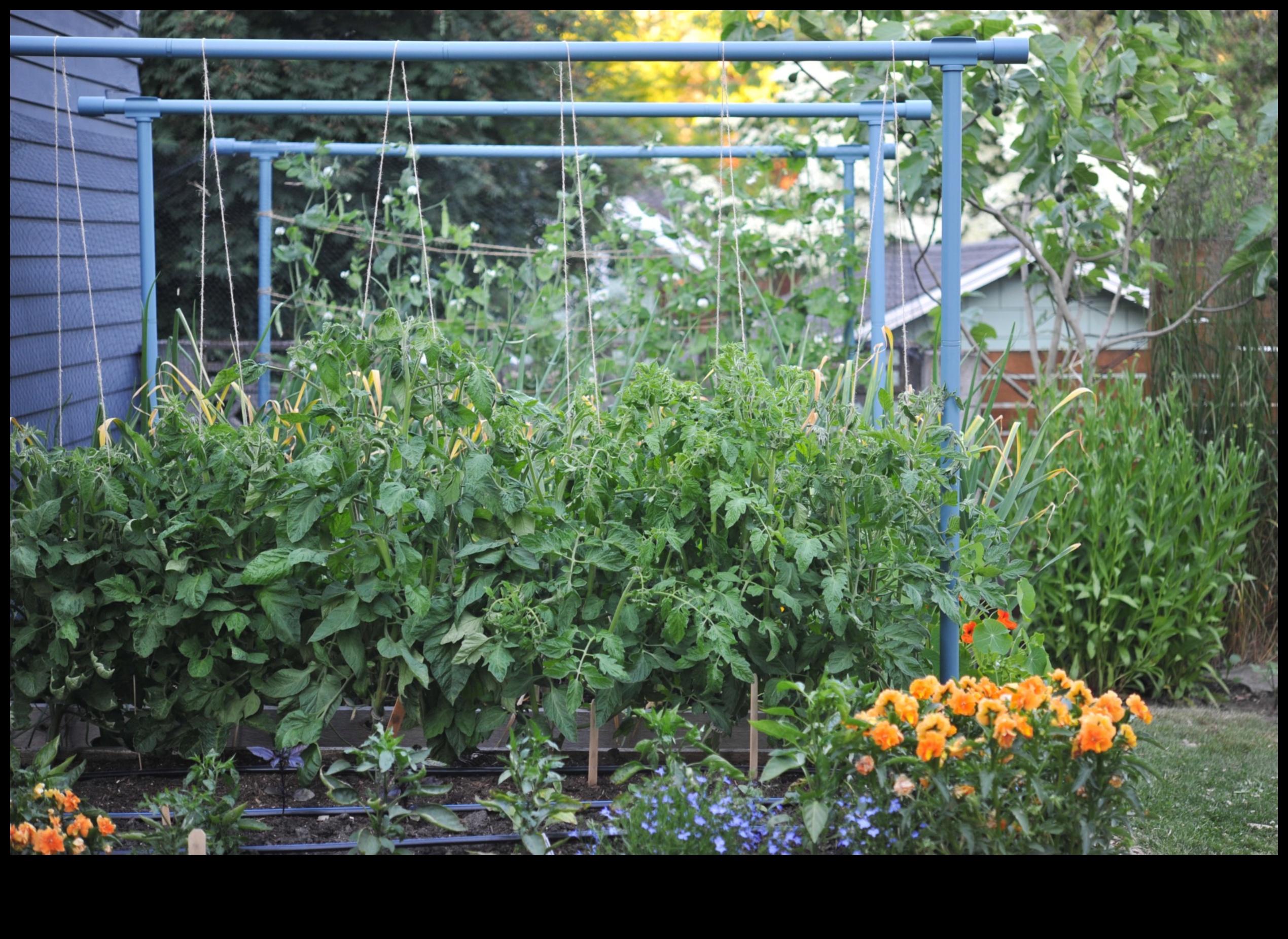 Ceļotāju režģis: sava zināšanu dārza audzēšana