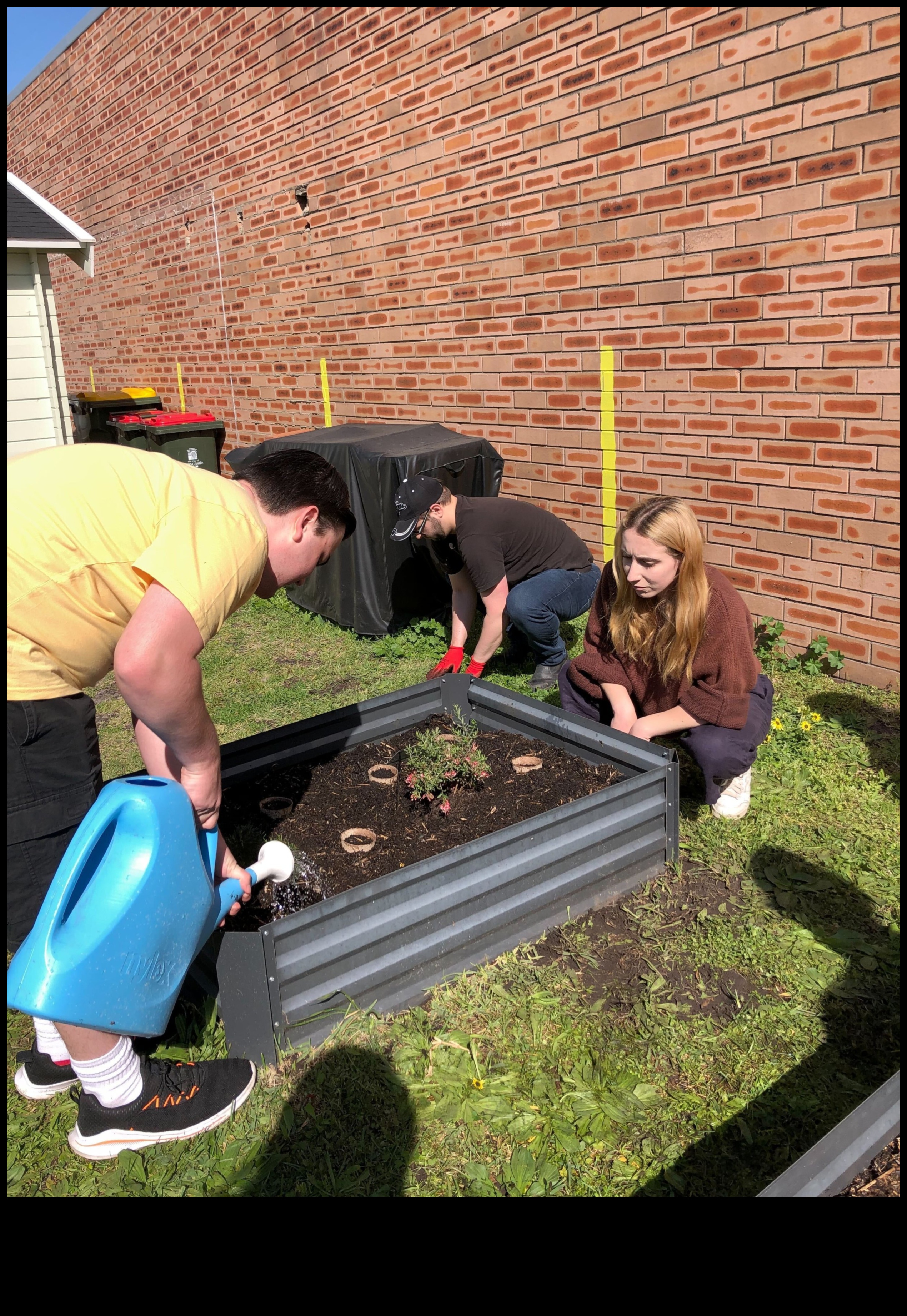 Draudzības raža, kas veido stipras saites sociālo tīklu dārzā 2 Draudzības raža: obligāciju augšana sociālo tīklu dārzā
