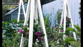 Ceļotāju režģis: sava zināšanu dārza audzēšana