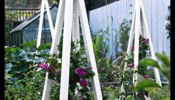 Ceļotāju režģis: sava zināšanu dārza audzēšana