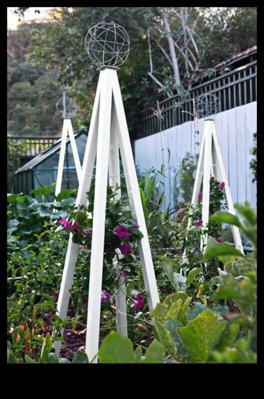 Ceļotāju režģis: sava zināšanu dārza audzēšana