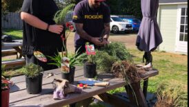 Draudzības raža: obligāciju augšana sociālo tīklu dārzā