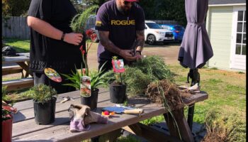 Draudzības raža: obligāciju augšana sociālo tīklu dārzā