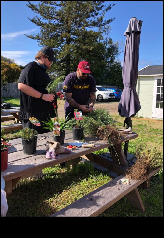 Draudzības raža: obligāciju augšana sociālo tīklu dārzā