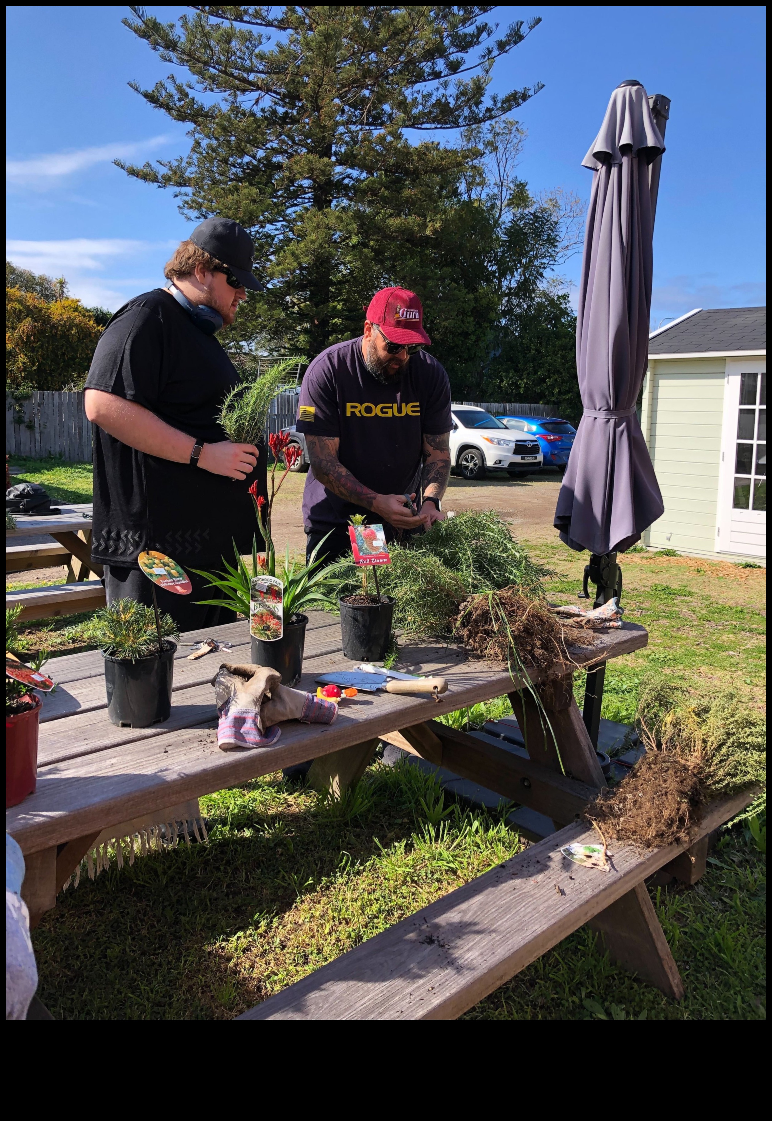 Draudzības raža, kas veido stipras saites sociālo tīklu dārzā 1 Draudzības raža: obligāciju augšana sociālo tīklu dārzā