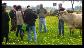 Holandes pienotavas: lauku dzīves mākslinieciskās reprezentācijas