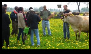 Holandes pienotavas: lauku dzīves mākslinieciskās reprezentācijas