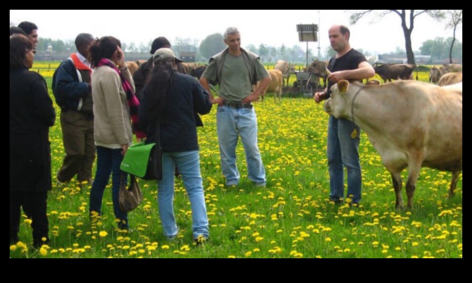 Holandes pienotavas Vizuāls ceļojums pa lauku dzīvi 1 Holandes pienotavas: lauku dzīves mākslinieciskās reprezentācijas