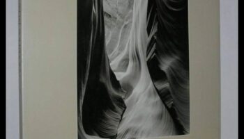 Vizuālā simfonija: apgūstiet fotogrāfijas mākslu ar ekspertu izglītību